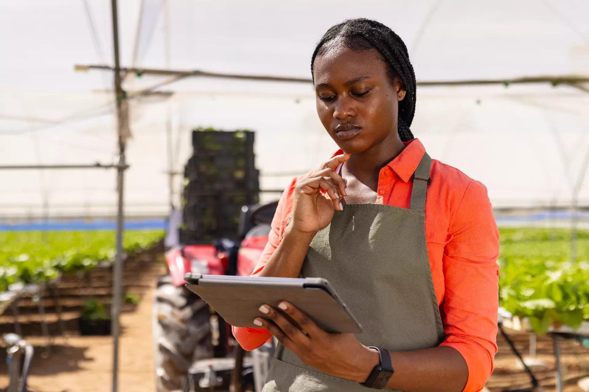 Agricultural field support conversation